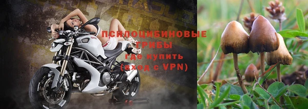 спайс Алексин