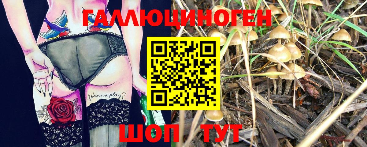 Галлюциногенные грибы прущие грибы  Псилоцибиновые грибы мухоморы  Чистополь  Вход с VPN 